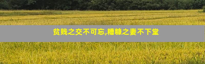 贫贱之交不可忘,糟糠之妻不下堂
