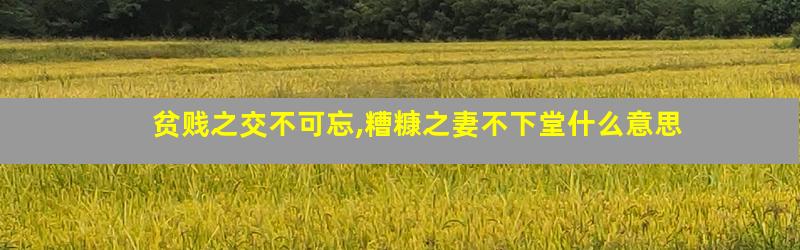 贫贱之交不可忘,糟糠之妻不下堂什么意思