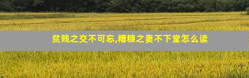 贫贱之交不可忘,糟糠之妻不下堂怎么读