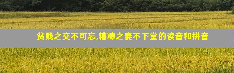 贫贱之交不可忘,糟糠之妻不下堂的读音和拼音