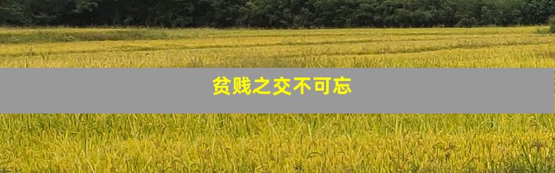 贫贱之交不可忘
