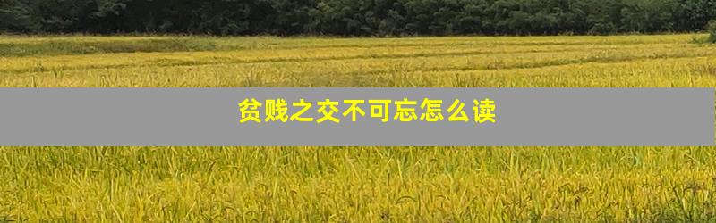 贫贱之交不可忘怎么读