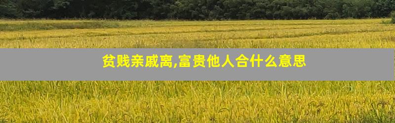 贫贱亲戚离,富贵他人合什么意思