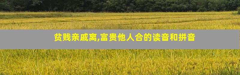 贫贱亲戚离,富贵他人合的读音和拼音