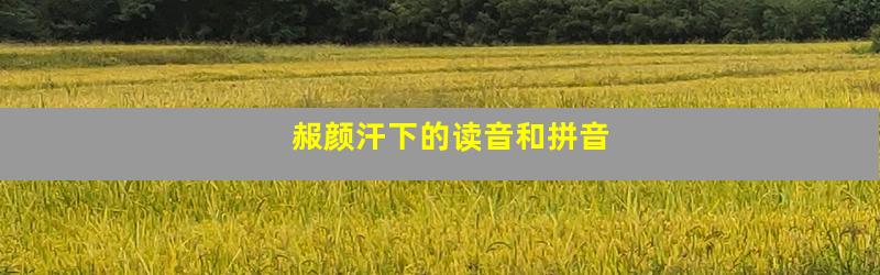 赧颜汗下的读音和拼音