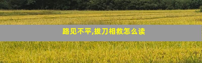 路见不平,拔刀相救怎么读