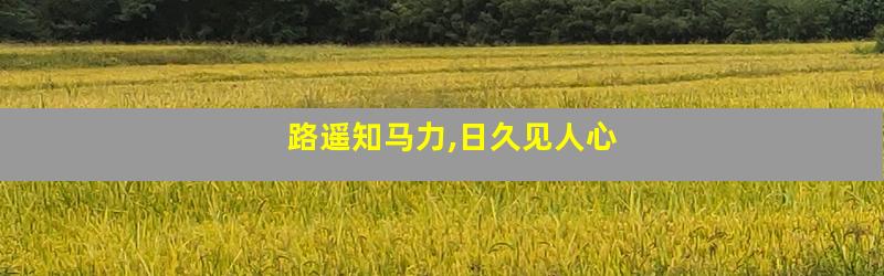 路遥知马力,日久见人心