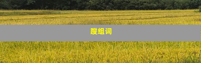躞组词