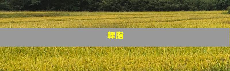 輠脂