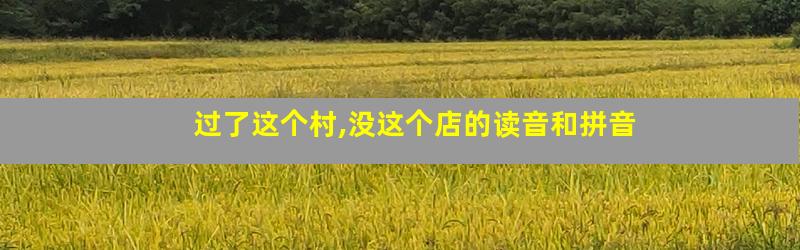 过了这个村,没这个店的读音和拼音