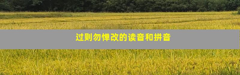 过则勿惮改的读音和拼音