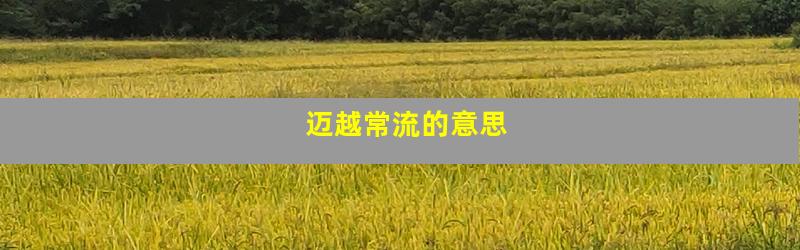 迈越常流的意思