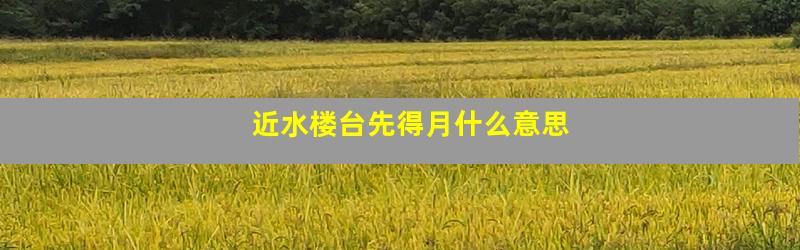 近水楼台先得月什么意思