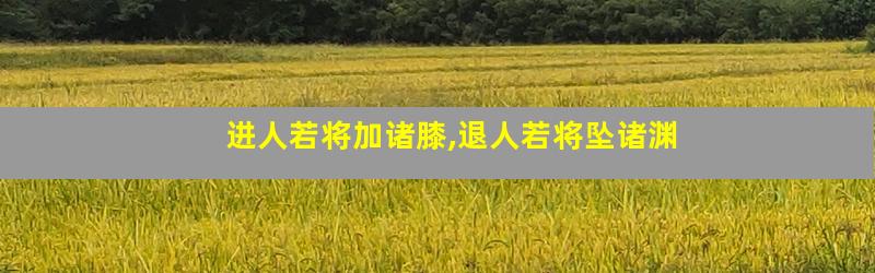 进人若将加诸膝,退人若将坠诸渊