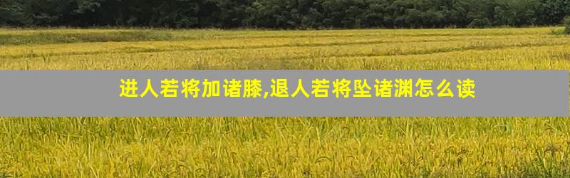 进人若将加诸膝,退人若将坠诸渊怎么读