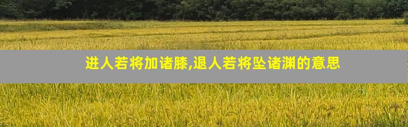 进人若将加诸膝,退人若将坠诸渊的意思