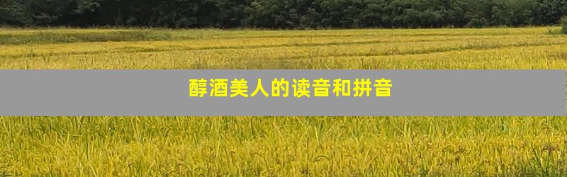 醇酒美人的读音和拼音