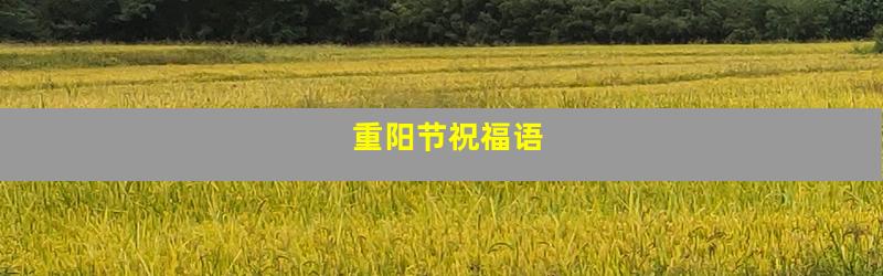 重阳节祝福语