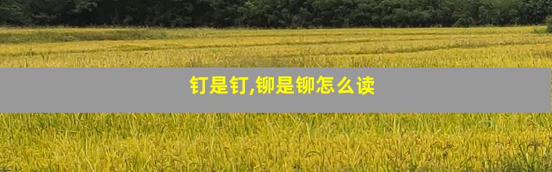 钉是钉,铆是铆怎么读