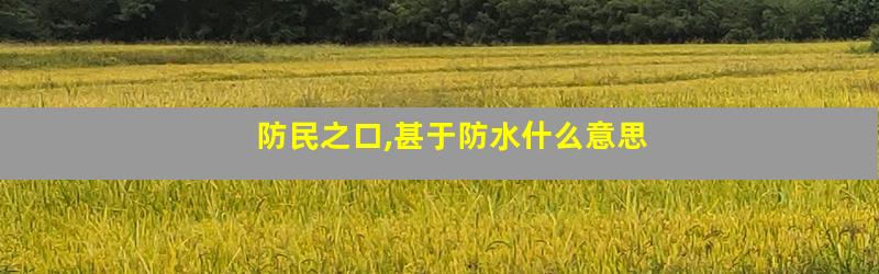 防民之口,甚于防水什么意思