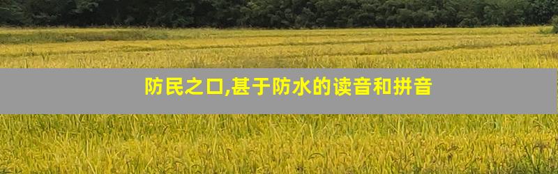 防民之口,甚于防水的读音和拼音