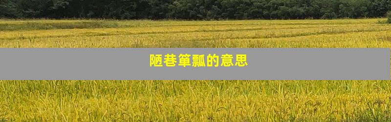 陋巷箪瓢的意思