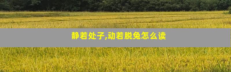 静若处子,动若脱兔怎么读