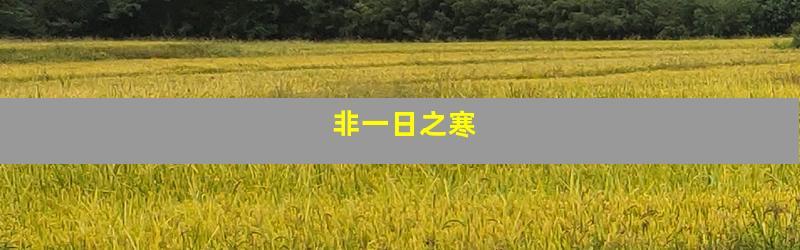 非一日之寒