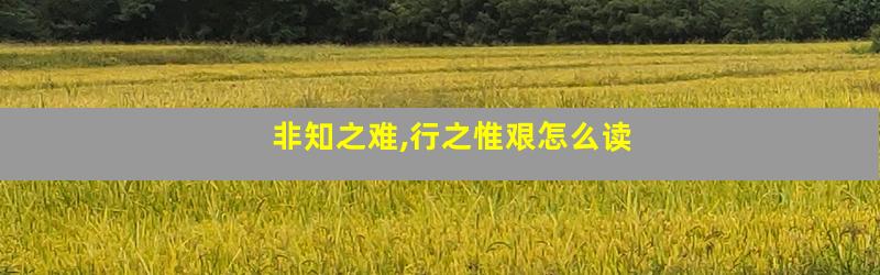非知之难,行之惟艰怎么读