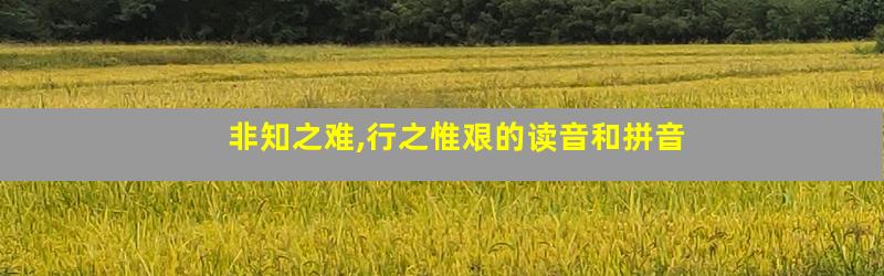 非知之难,行之惟艰的读音和拼音