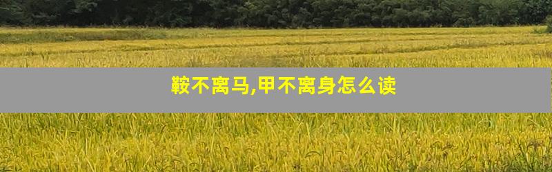 鞍不离马,甲不离身怎么读