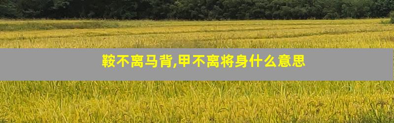 鞍不离马背,甲不离将身什么意思