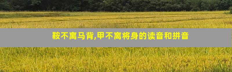 鞍不离马背,甲不离将身的读音和拼音