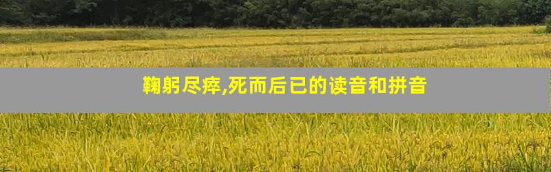 鞠躬尽瘁,死而后已的读音和拼音