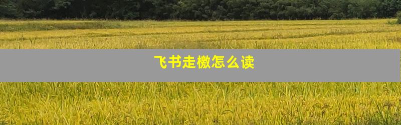 飞书走檄怎么读