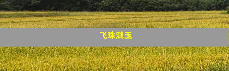 飞珠溅玉