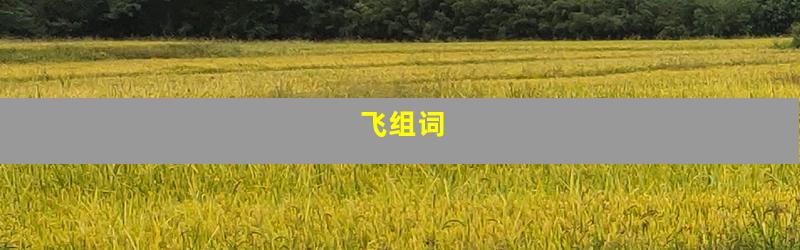 飞组词