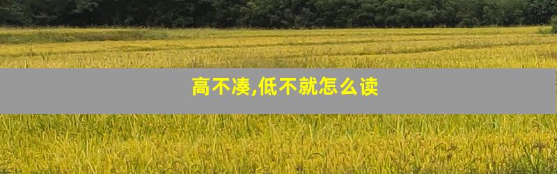 高不凑,低不就怎么读