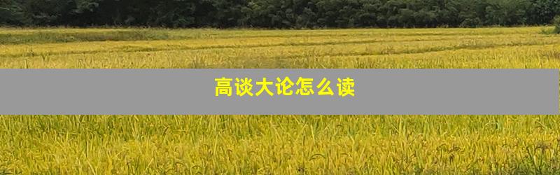 高谈大论怎么读