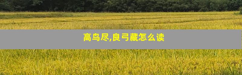高鸟尽,良弓藏怎么读