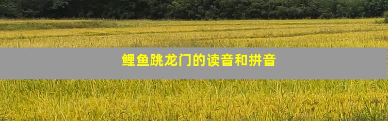 鲤鱼跳龙门的读音和拼音
