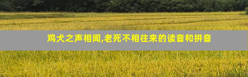 鸡犬之声相闻,老死不相往来的读音和拼音