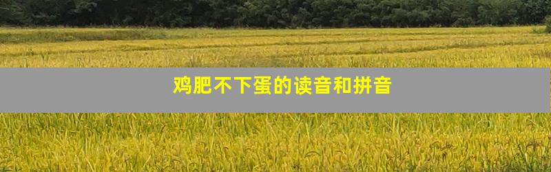 鸡肥不下蛋的读音和拼音