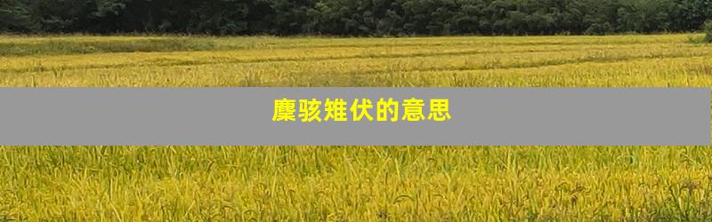 麇骇雉伏的意思