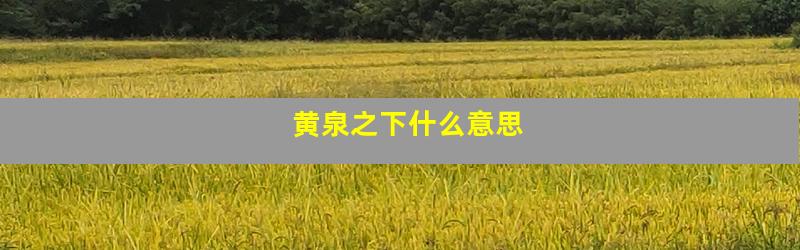 黄泉之下什么意思